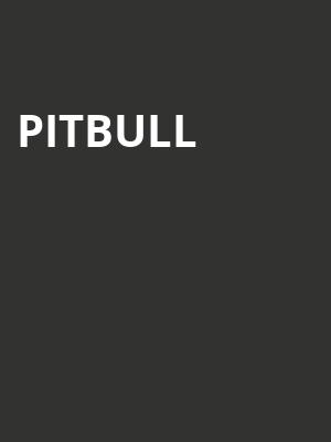 Pitbull, Empower FCU Amphitheater At Lakeview, Syracuse