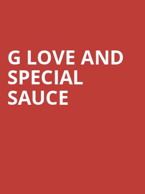 G Love and Special Sauce, Center For The Arts Of Homer, Syracuse