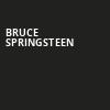 Bruce Springsteen, JMA Wireless Dome, Syracuse